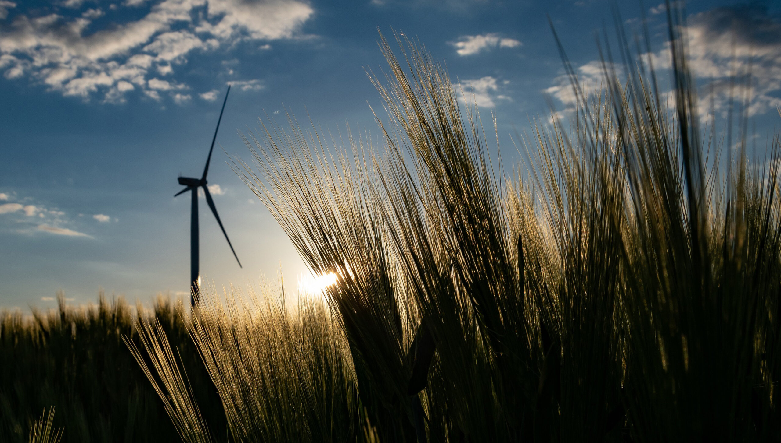 SUSI Partners with Top Scores in Annual UN PRI Rating » SUSI Partners